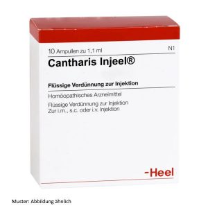 Cantharis Injeel Ampullen 10 St Heel Arzneimittel - Löwen Apotheke24
