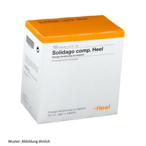 Solidago comp. Heel Ampullen 100 St Heel Arzneimittel - Löwen Apotheke24